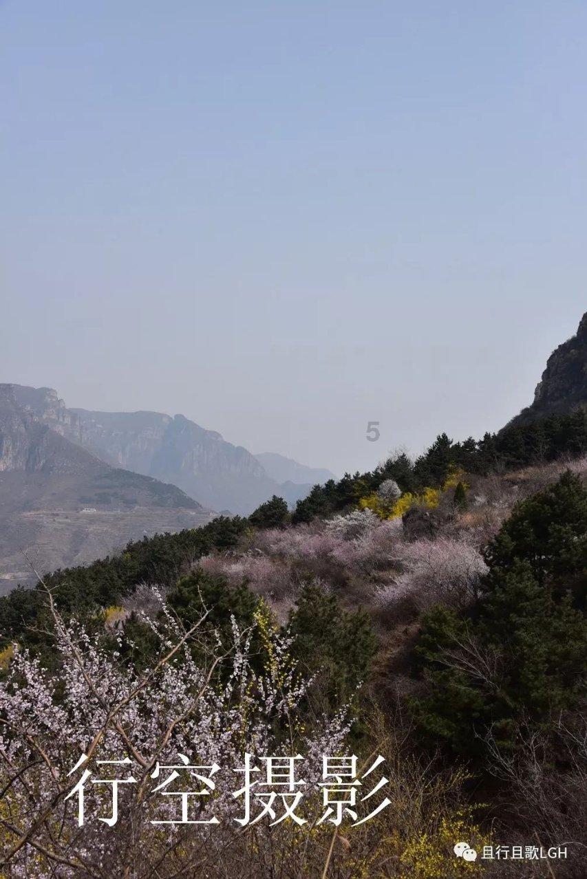 【新春走基层】贵州松桃:年货“集”里年味浓