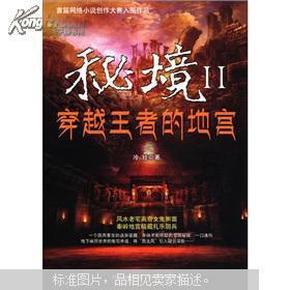 疯狂的小偷